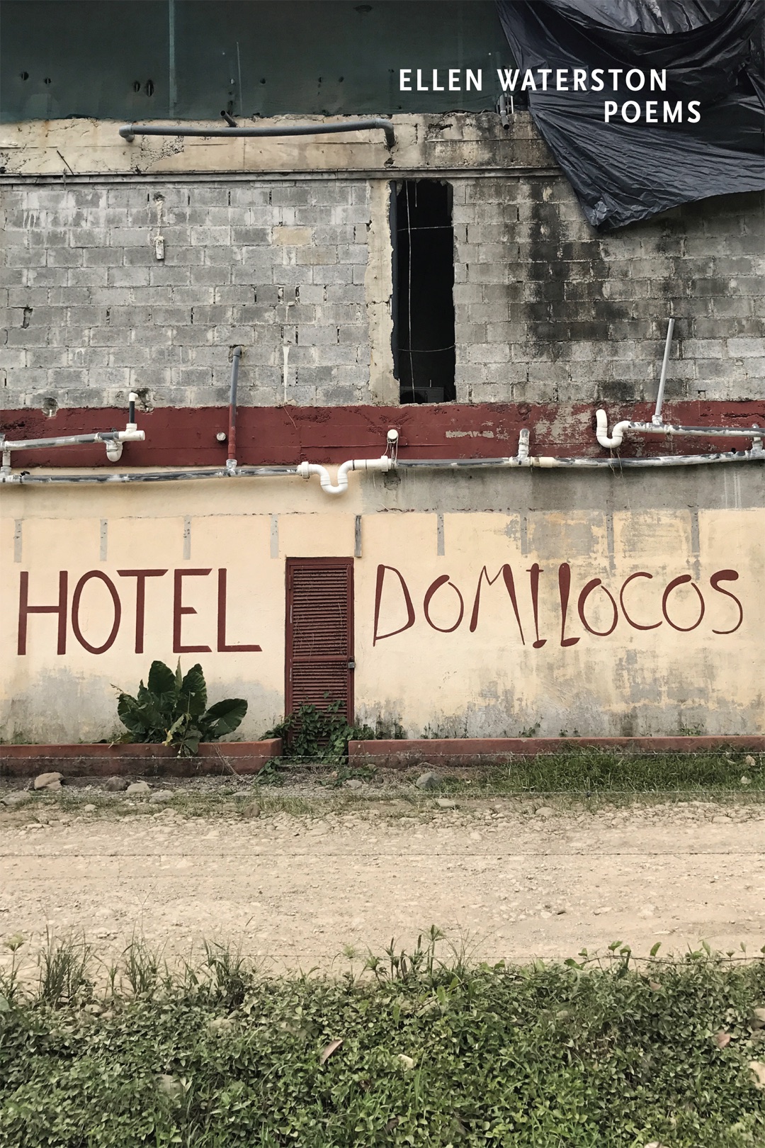 Hotel Domilocos, Poems by Ellen Waterston