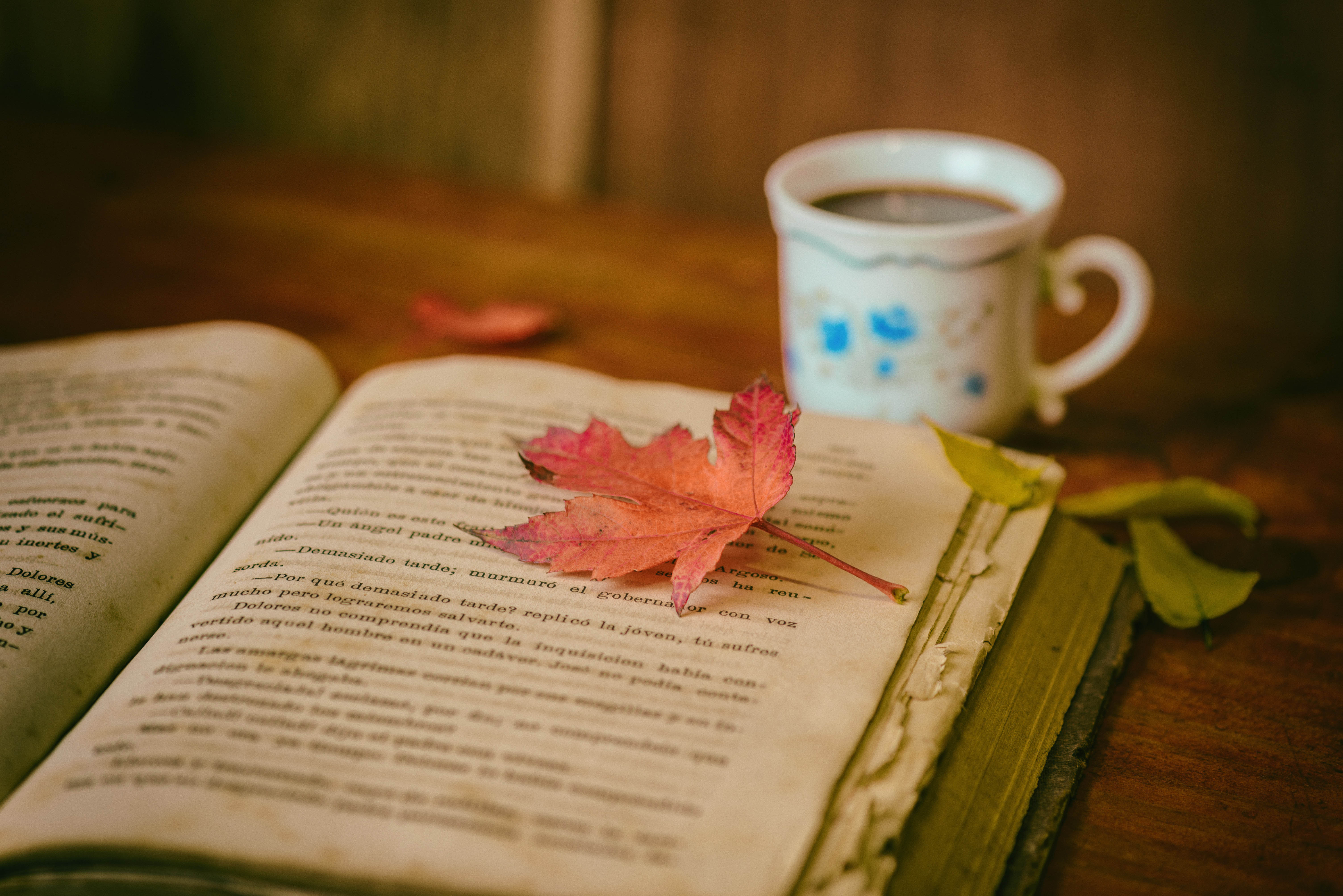 book-leaf book-leaf