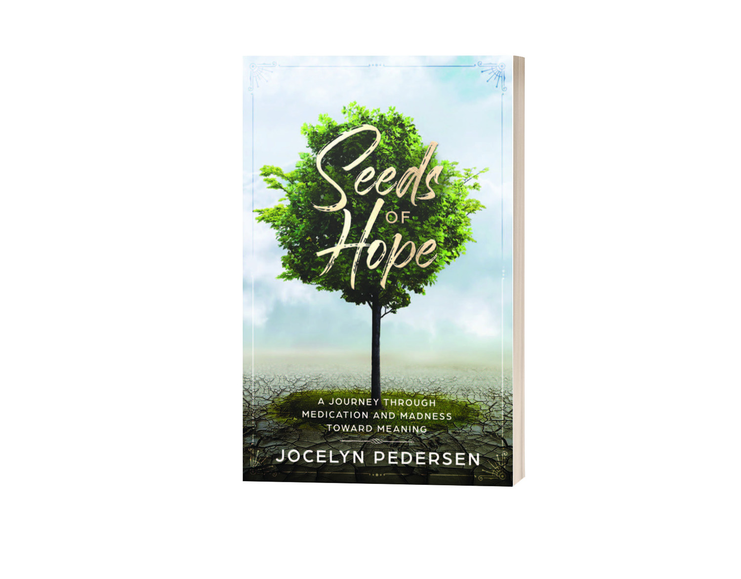 Available for Preorder! Seeds Of Hope: A Journey Through Medication and Madness Toward Meaning